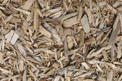 biomass boilers Whistlow